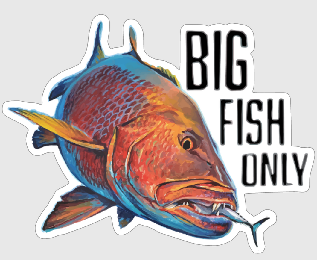 BIG FISH ONLY Sticker